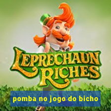 pomba no jogo do bicho